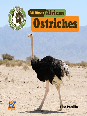 cover image of All About African Ostriches